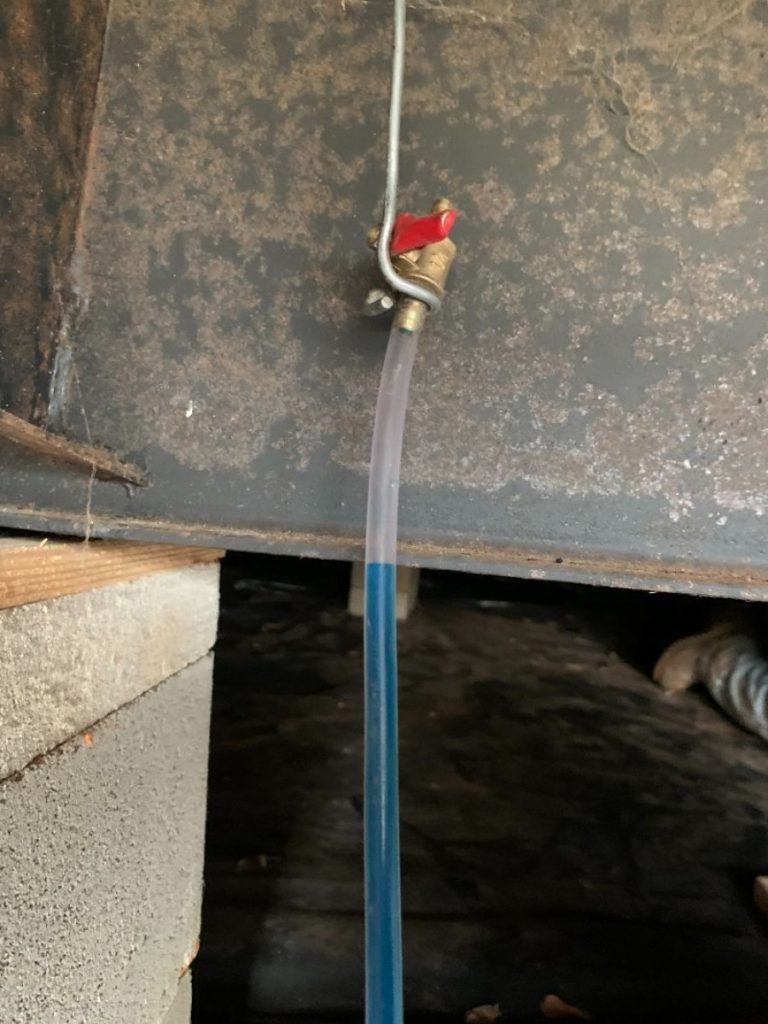 Blue hose connected to faucet